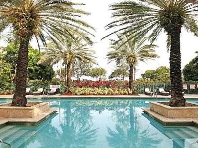 Picture-of-Pool-